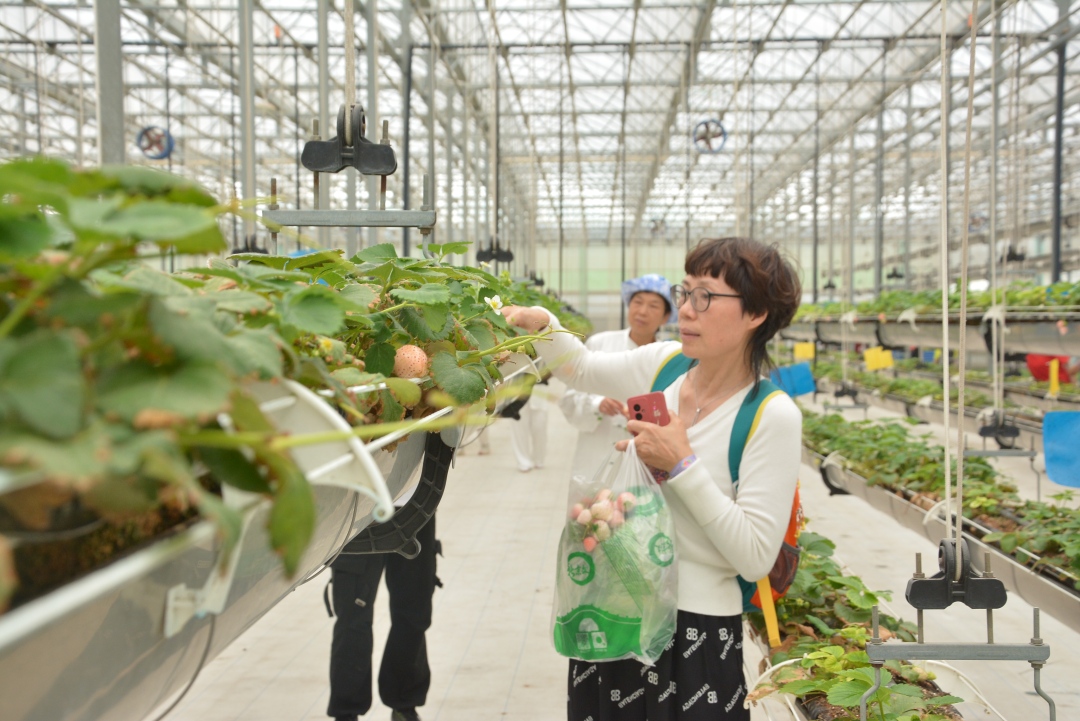 DSC_5582.JPG DSC_5582.jpg