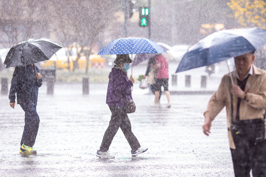 微信图片_20250411200702