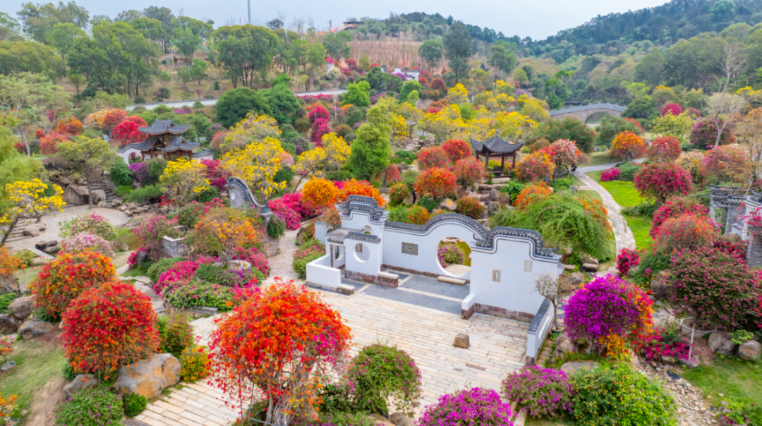 dffb8a2b4880fa2b5ecf140aa35f622.png dffb8a2b4880fa2b5ecf140aa35f622.png