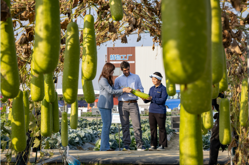 149de783486a29ea4d1d388cc36f645.png 149de783486a29ea4d1d388cc36f645.png