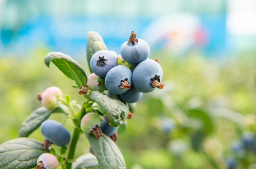 804b877a4e0054774c918cc05e00c1c.png 804b877a4e0054774c918cc05e00c1c.png