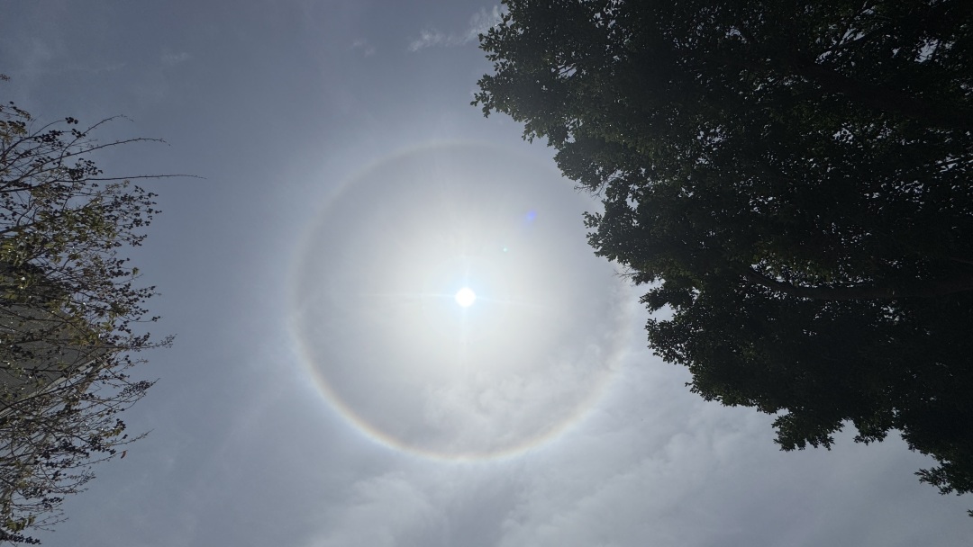 8e113a19a715a384d163d043987e6a5a