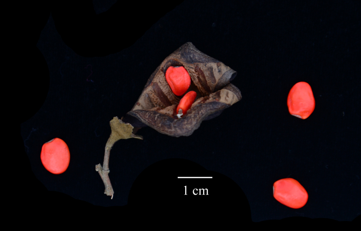 01b8d62aaa394dc1b11cfe9d1c2dcf8f.jpg 01b8d62aaa394dc1b11cfe9d1c2dcf8f.jpg