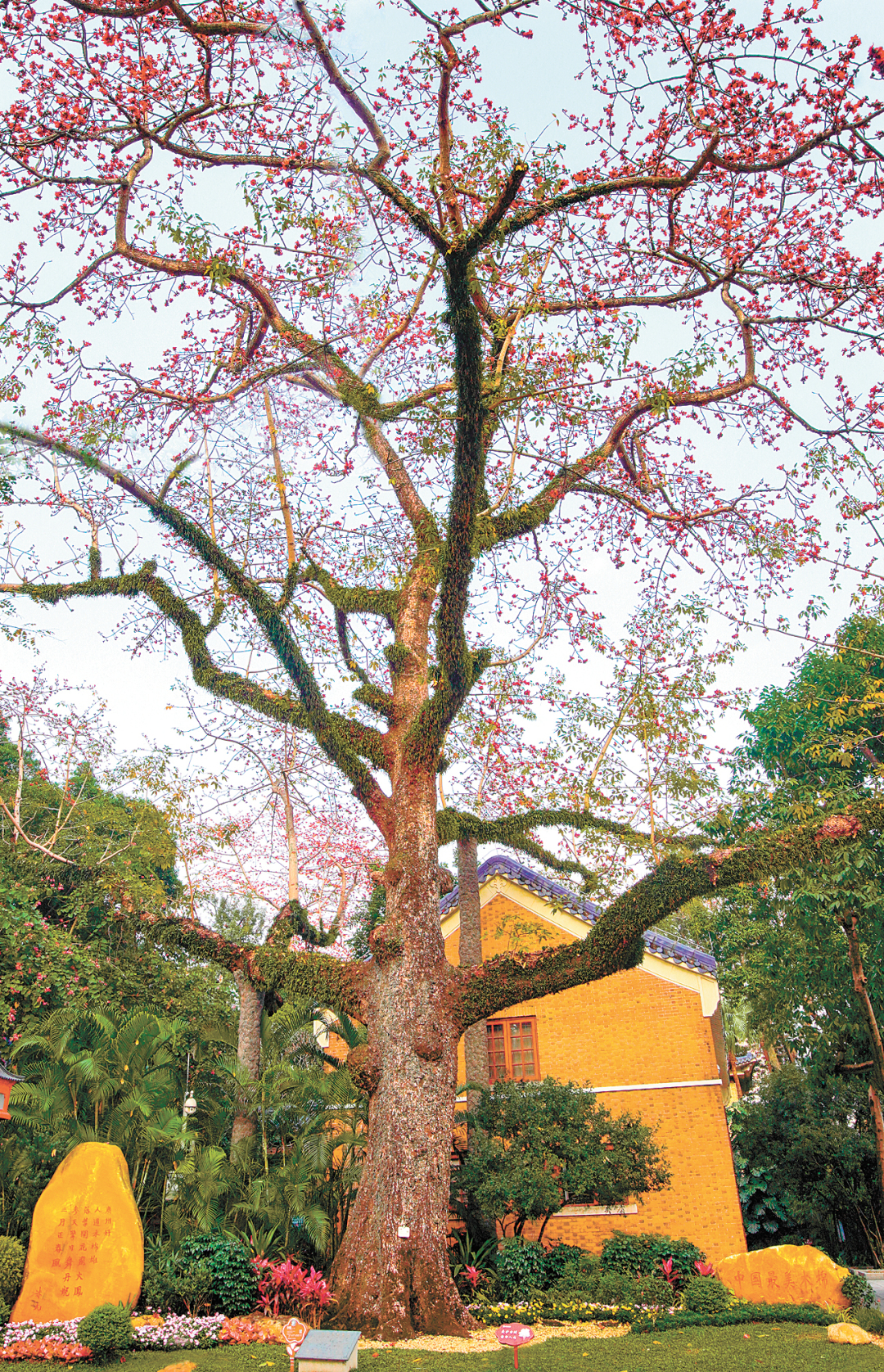 骆昌威-2024年新-FZ102813669631.jpg 骆昌威-2024年新-FZ102813669631.jpg