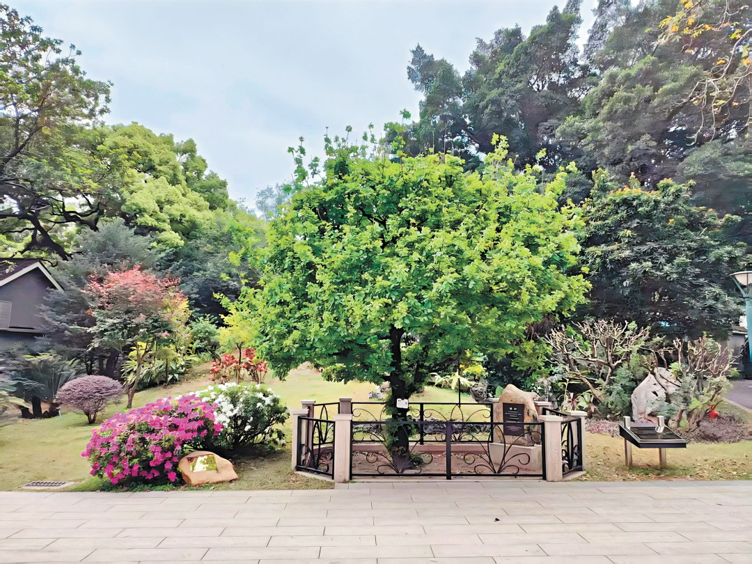 骆昌威-cgi-1-FZ102813669626.jpg 骆昌威-cgi-1-FZ102813669626.jpg