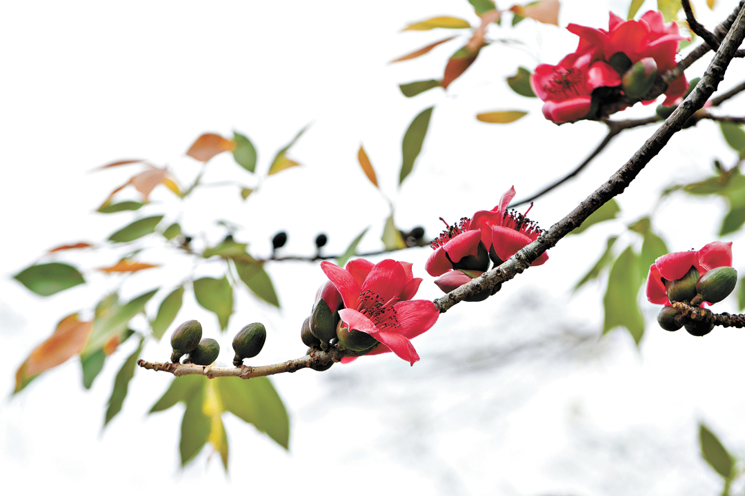 杨耀烨-YYY_5251-FZ102813676316.jpg 杨耀烨-YYY_5251-FZ102813676316.jpg