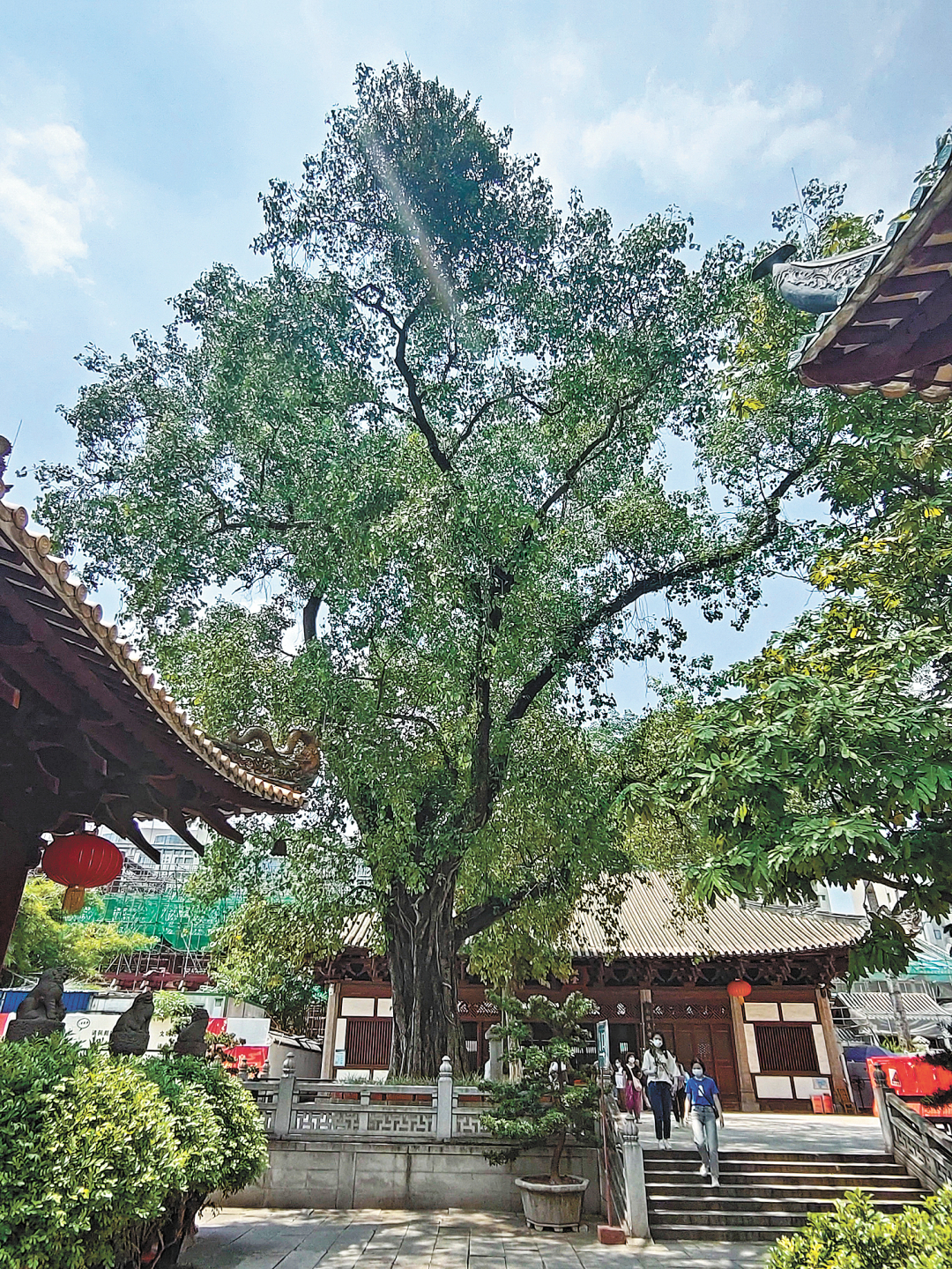 骆昌威-骆昌威-IMG_20220629_134-FZ102813669436.jpg 骆昌威-骆昌威-IMG_20220629_134-FZ102813669436.jpg