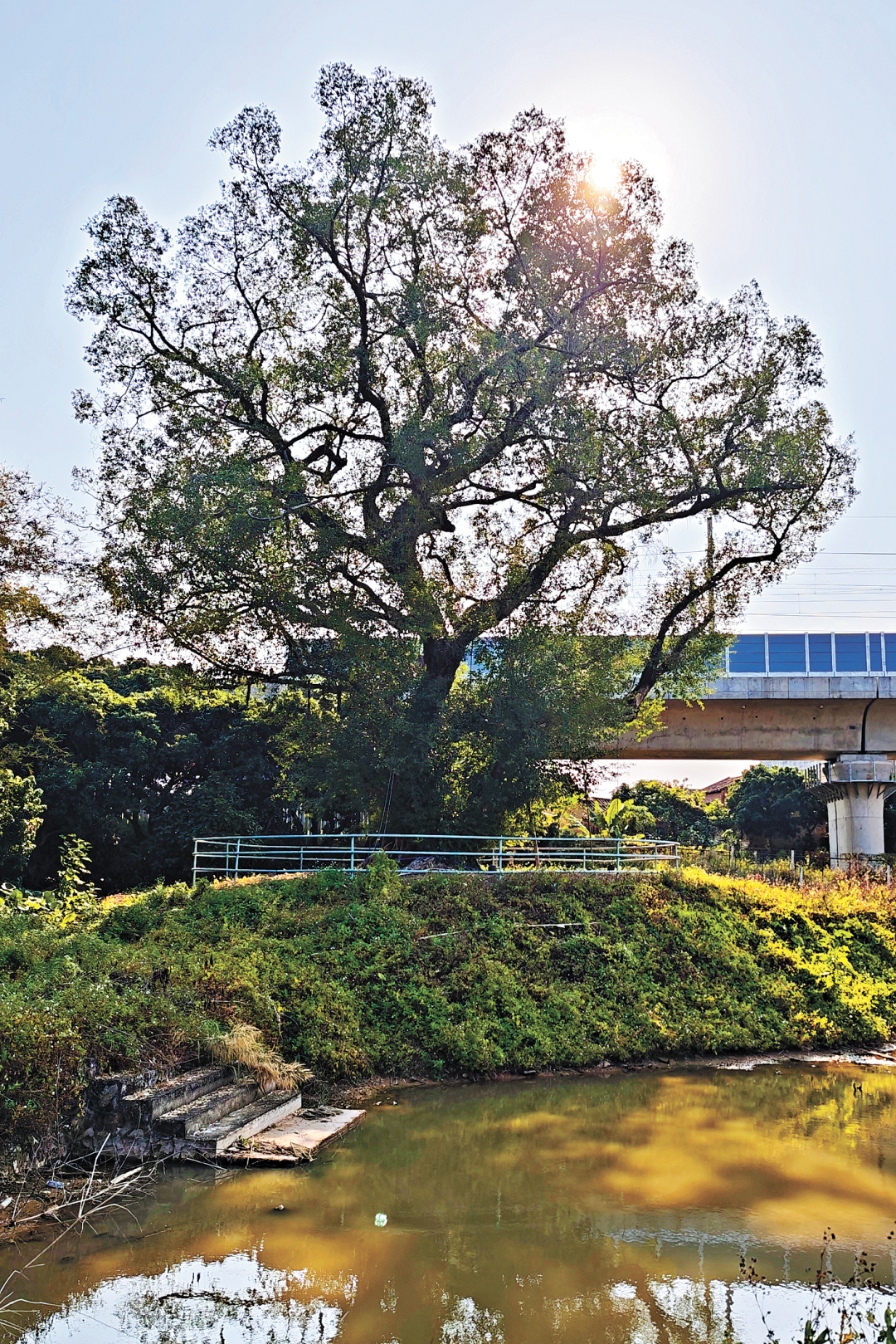 骆昌威-微信图片_20250407175311-FZ102813669470.jpg 骆昌威-微信图片_20250407175311-FZ102813669470.jpg