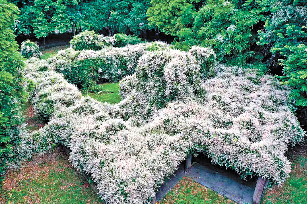 骆昌威-微信图片_20250407175353-FZ102813669416.jpg 骆昌威-微信图片_20250407175353-FZ102813669416.jpg