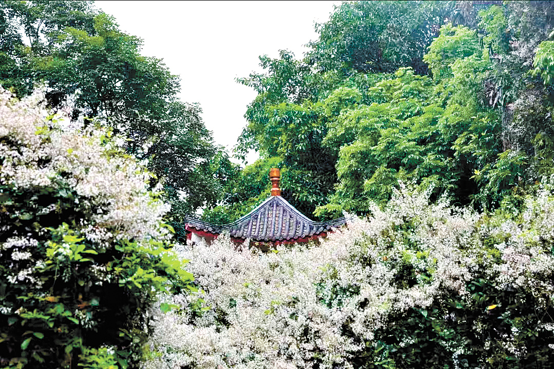 骆昌威-微信图片_20250407175353-FZ102813669418.jpg 骆昌威-微信图片_20250407175353-FZ102813669418.jpg