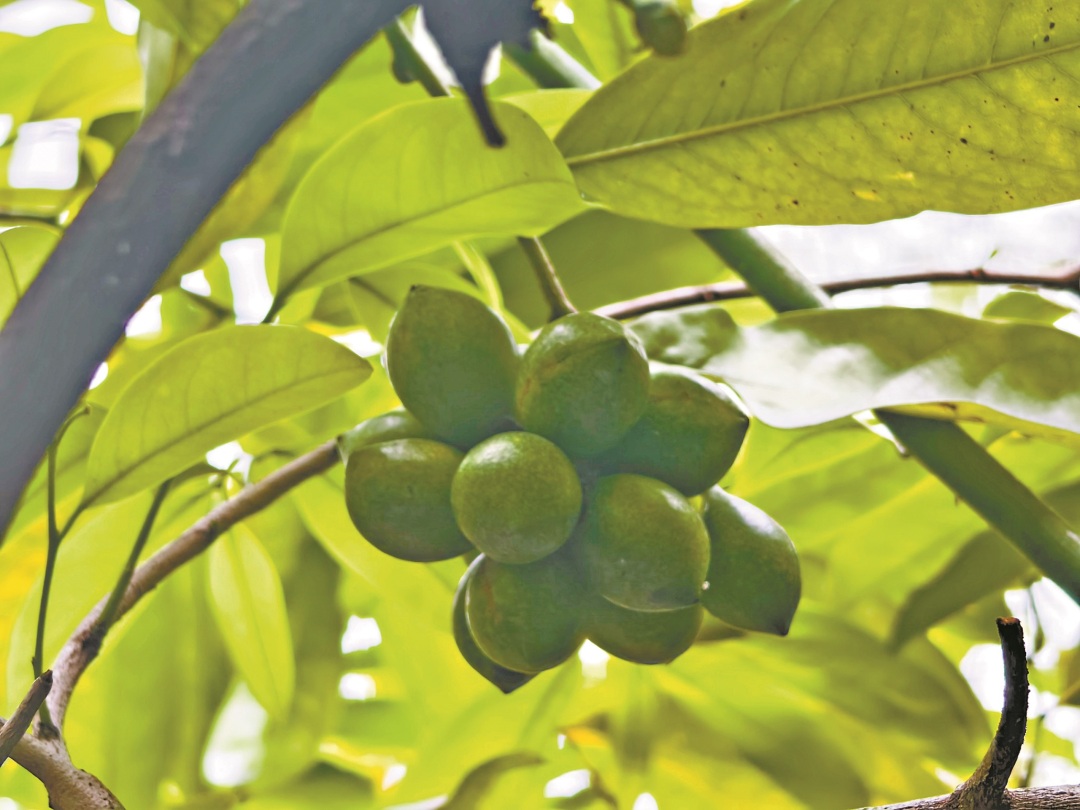 骆昌威-IMG_20250409_151737-FZ102813669424.jpg 骆昌威-IMG_20250409_151737-FZ102813669424.jpg