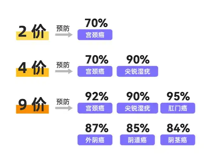 九价比四价预防的HPV型别疾病更多,防护范围更广