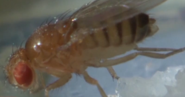 2024103019461079999.png 2024103019461079999.png