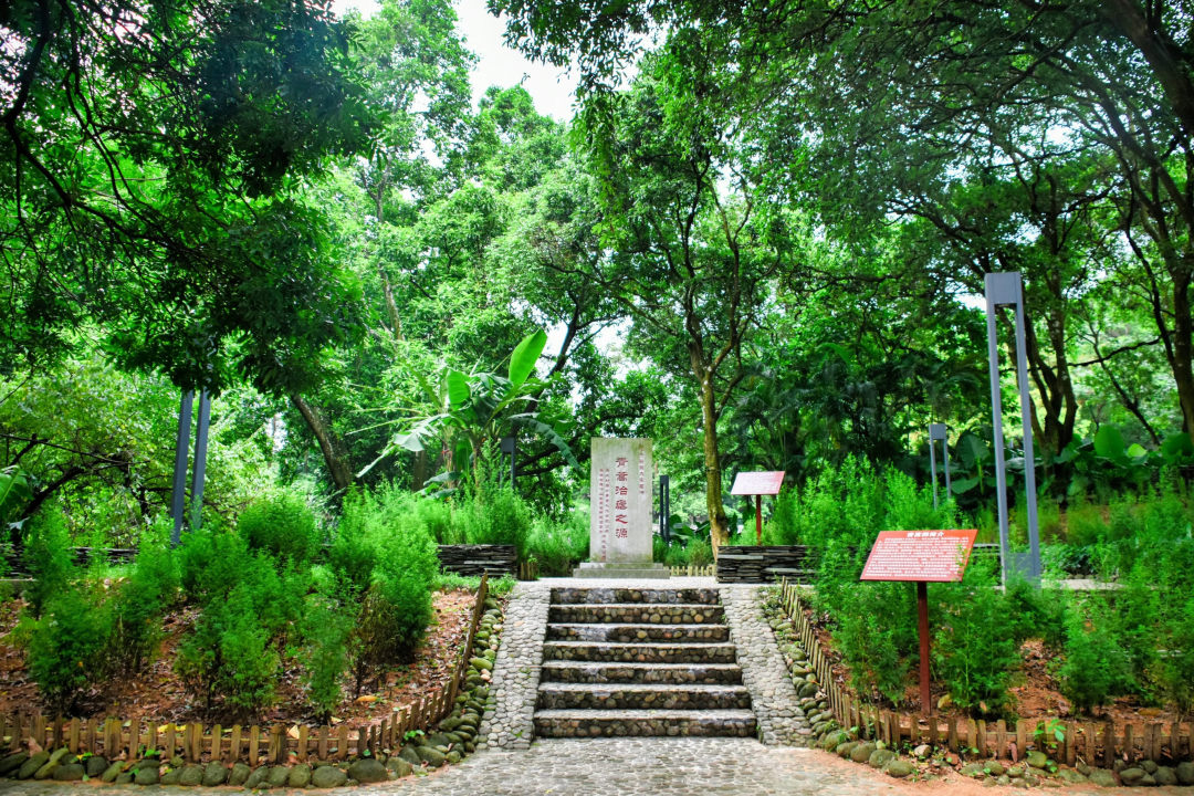 青蒿园+全景照_副本