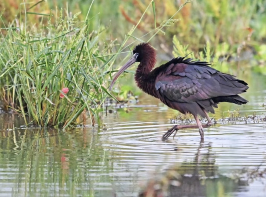 截屏2025-04-21 09.17.23