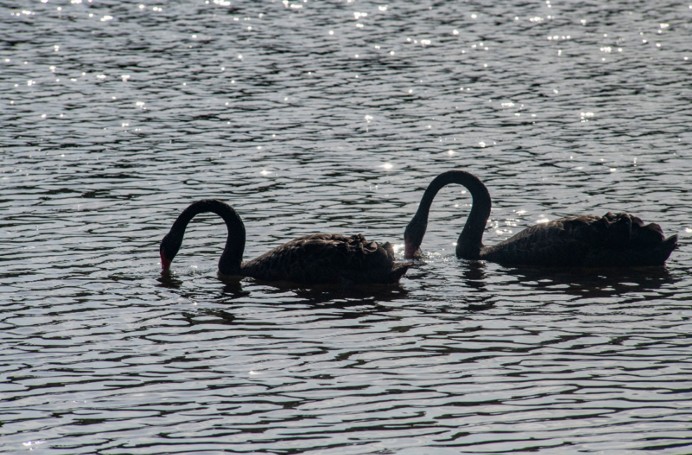 微信图片_20250422173429