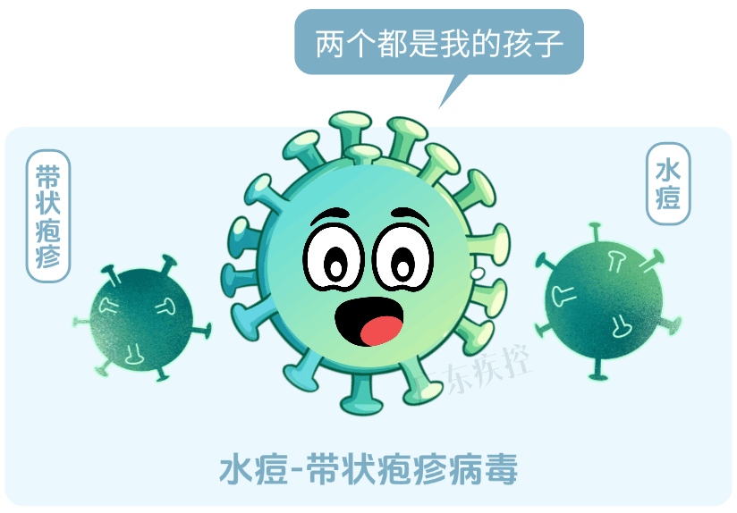 同色系列(1) (1).gif