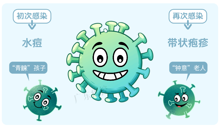 同色系列(1) (2).gif