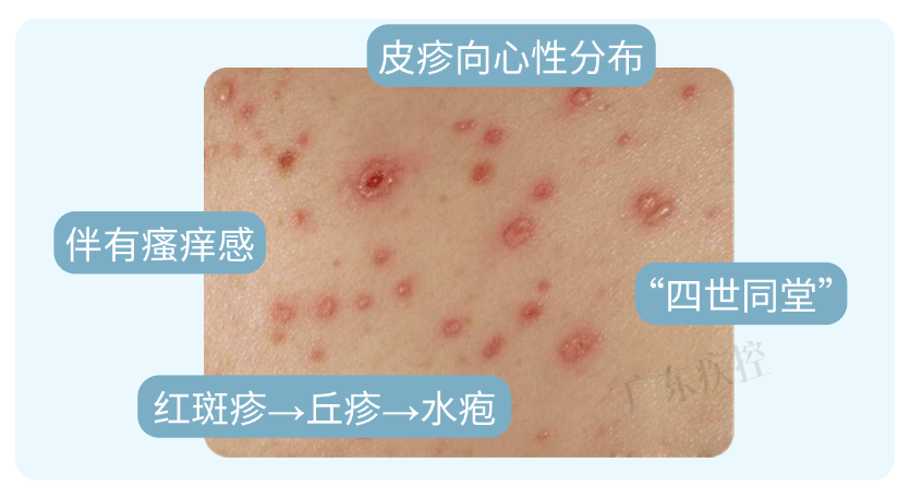 同色系列(1) (1).png