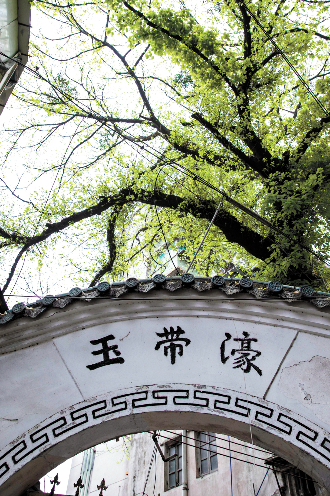 苏俊杰-sjj20230320_10-FZ102813710076.jpg 苏俊杰-sjj20230320_10-FZ102813710076.jpg