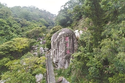 湛子洞 广州市文物考古研究院供图