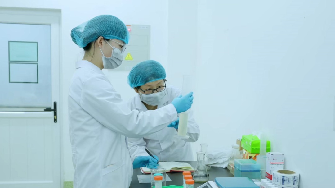 科研人员开展链霉菌相关研究