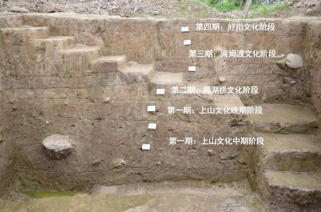 浙江仙居下汤遗址