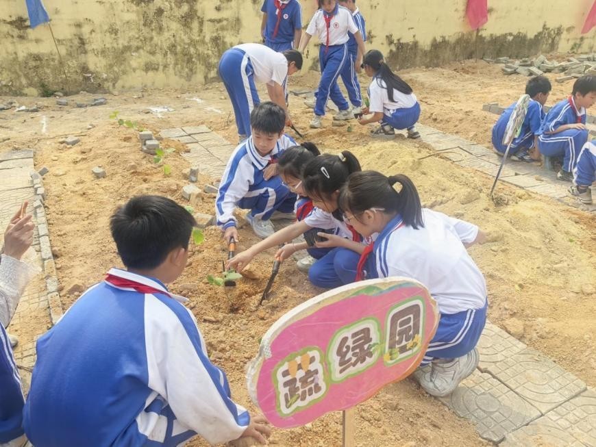 DJI_20250419200634_0009_D-已增强-降噪