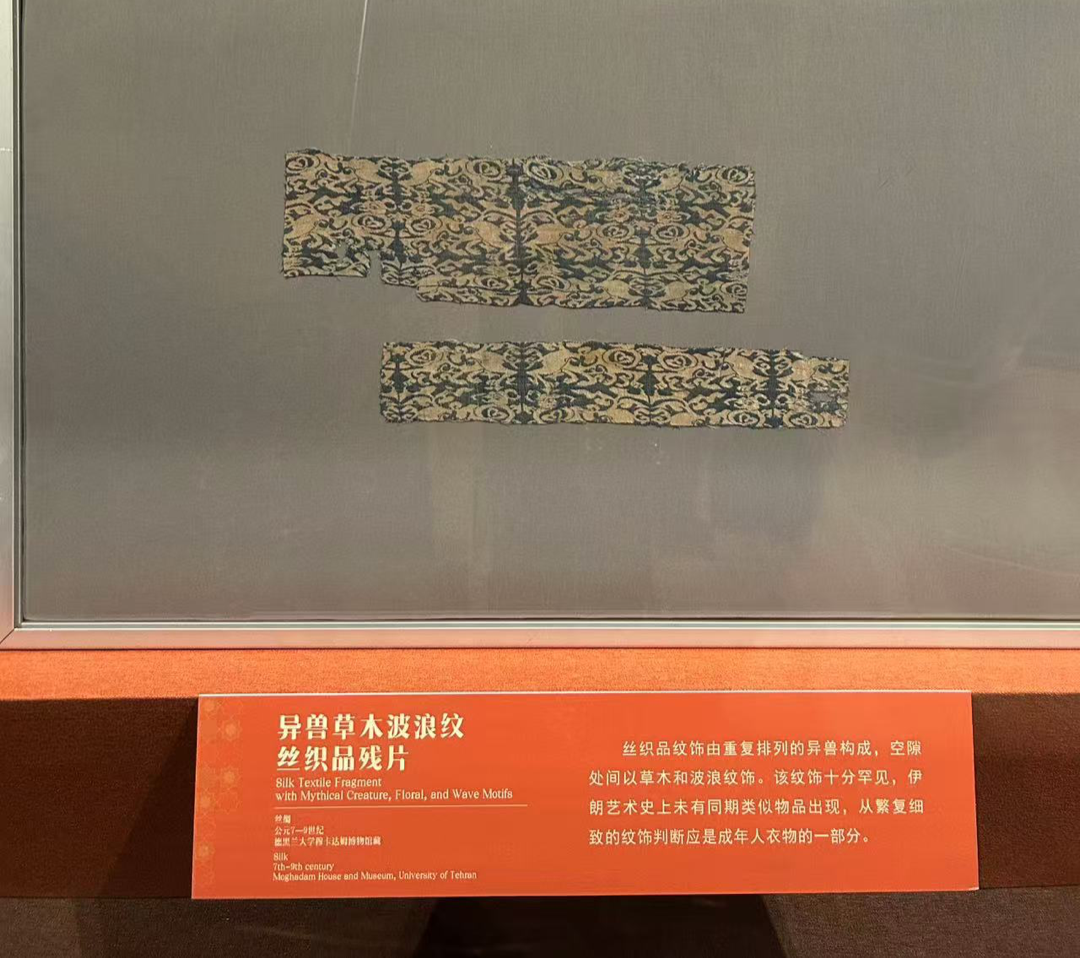 WechatIMG3224 WechatIMG3224