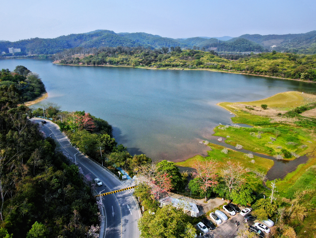 微信图片_20250428153824