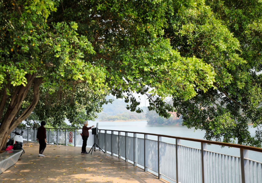 微信图片_20250428153855