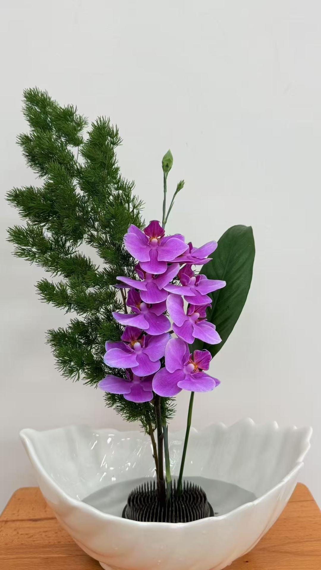 9.吕思思.jpg