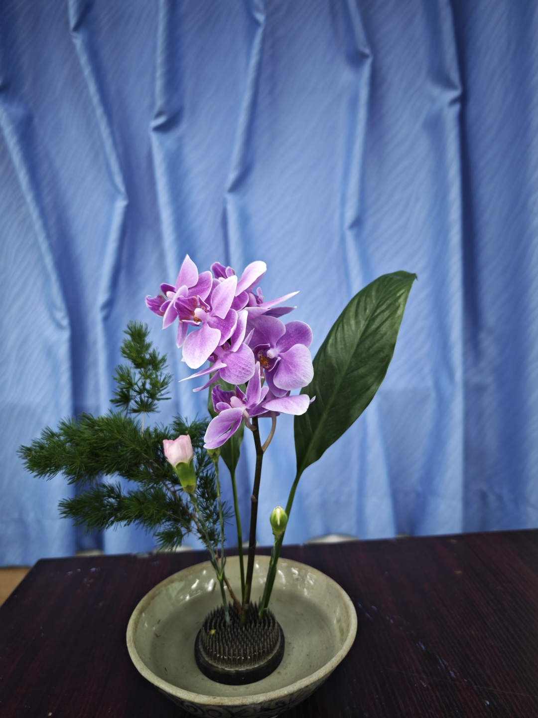 4.温雪菡.jpg