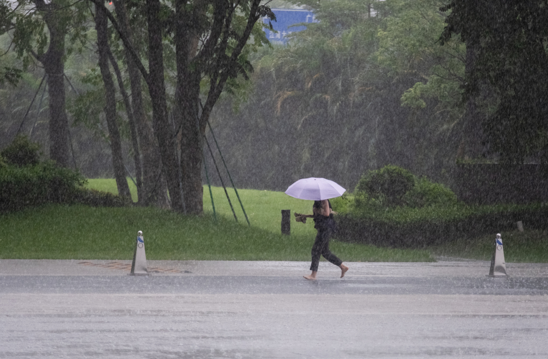 image_1746753856.707471