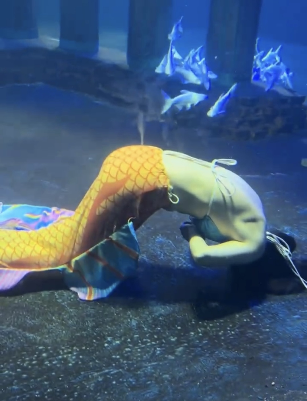 太原海洋大世界美人鱼表演者溺水