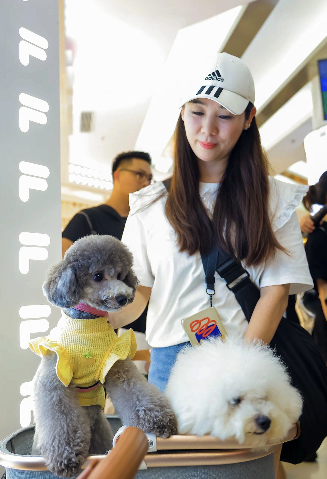 王燕-8a12bde7a6a8f6083db9-FZ100413822696