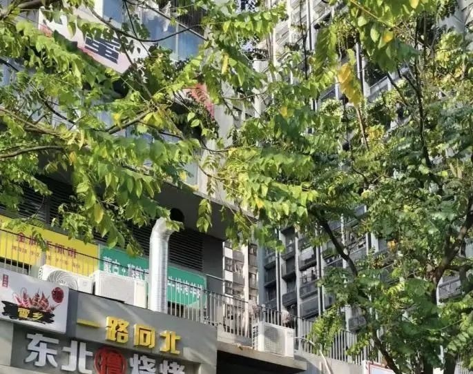 1747205804342065848.jpeg 1747205804342065848.jpeg