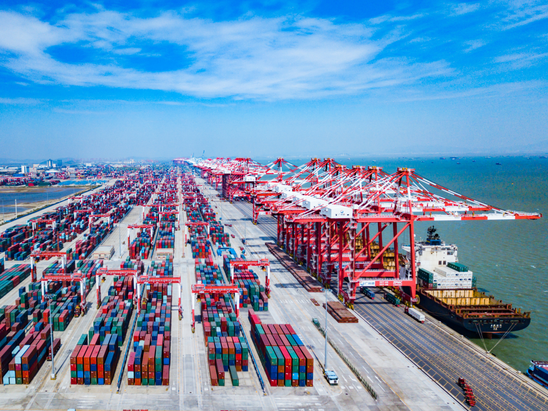 苏俊杰-WechatIMG25159-NEP1_20250509_C00413801670