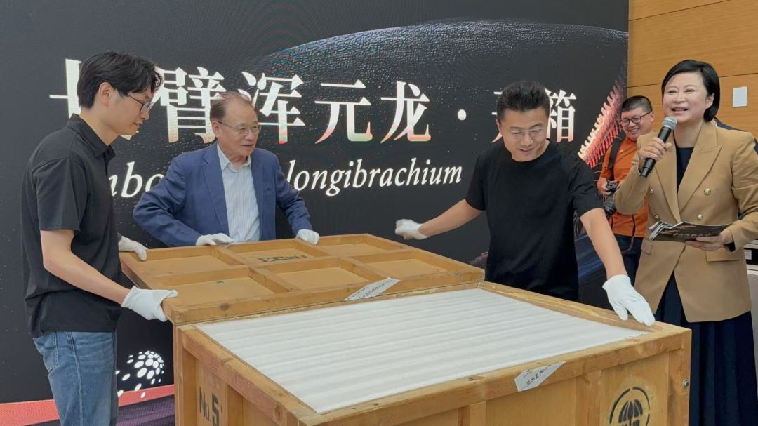 微信图片_20250518225856