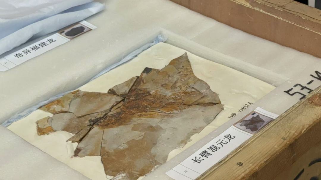 微信图片_20250518225903