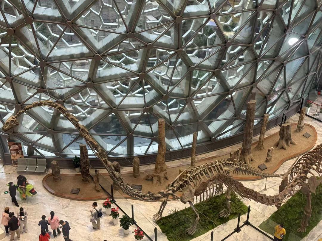 微信图片_20250518225327