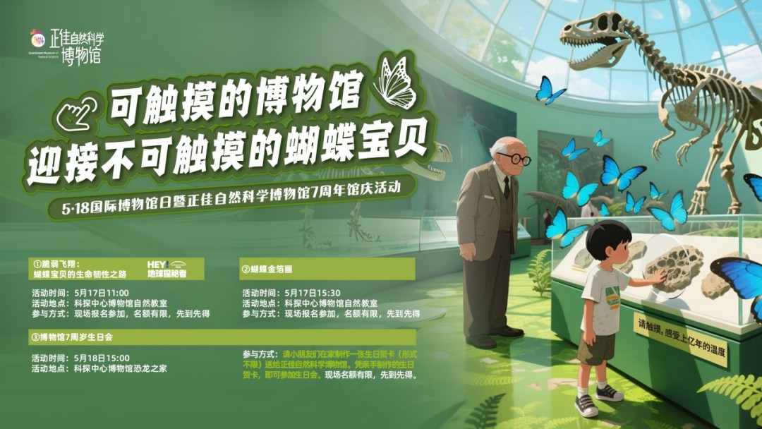 535a7625e0c950124d80e99c8575af69_