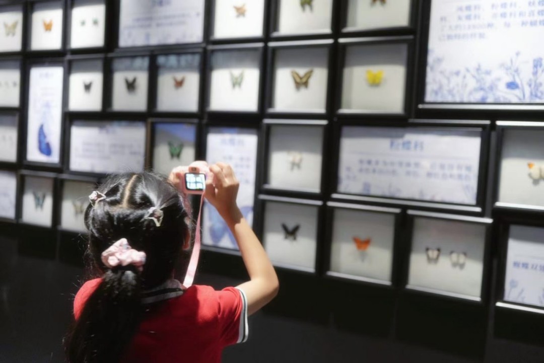 381907e01a5617f6d387cbde343a2d1