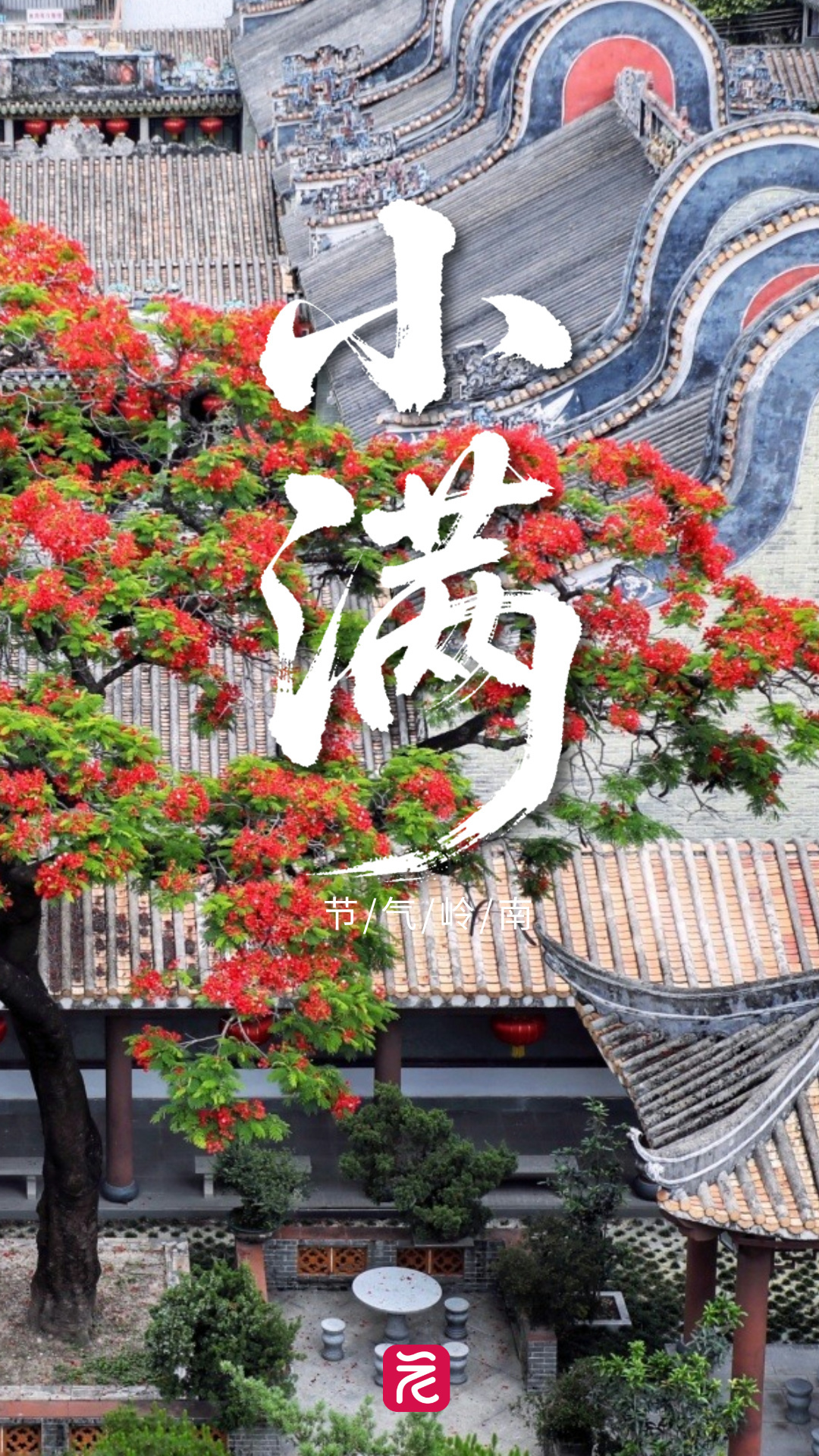 微信图片_20250520221357