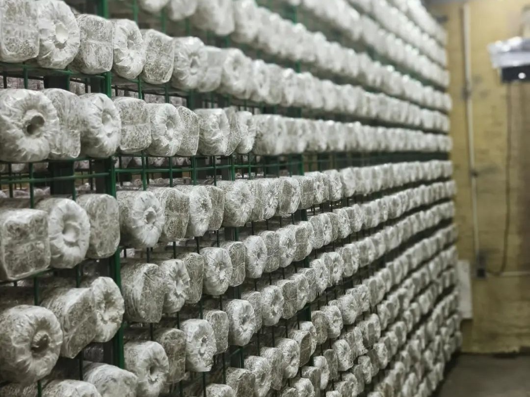 1747727596791068598.jpeg 1747727596791068598.jpeg