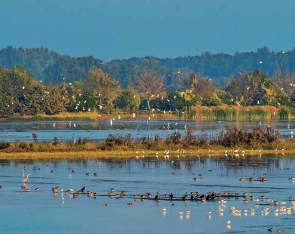 微信截图_20250522104559