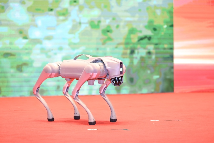 2025全球智能机器人发展大会展示的机器人