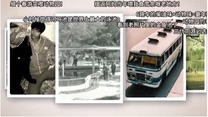 微信截图_20250527095738