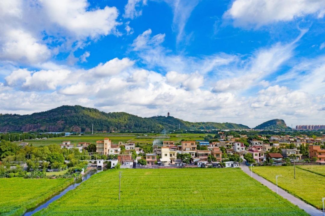 009d4347b105c9c9e4300186d9e87769.jpg 009d4347b105c9c9e4300186d9e87769.jpg