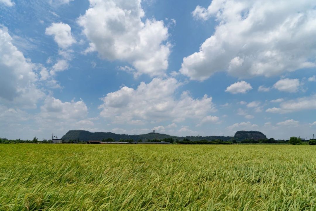 e25bc9ddf82dab8a926017a8c4ba4804.jpg e25bc9ddf82dab8a926017a8c4ba4804.jpg